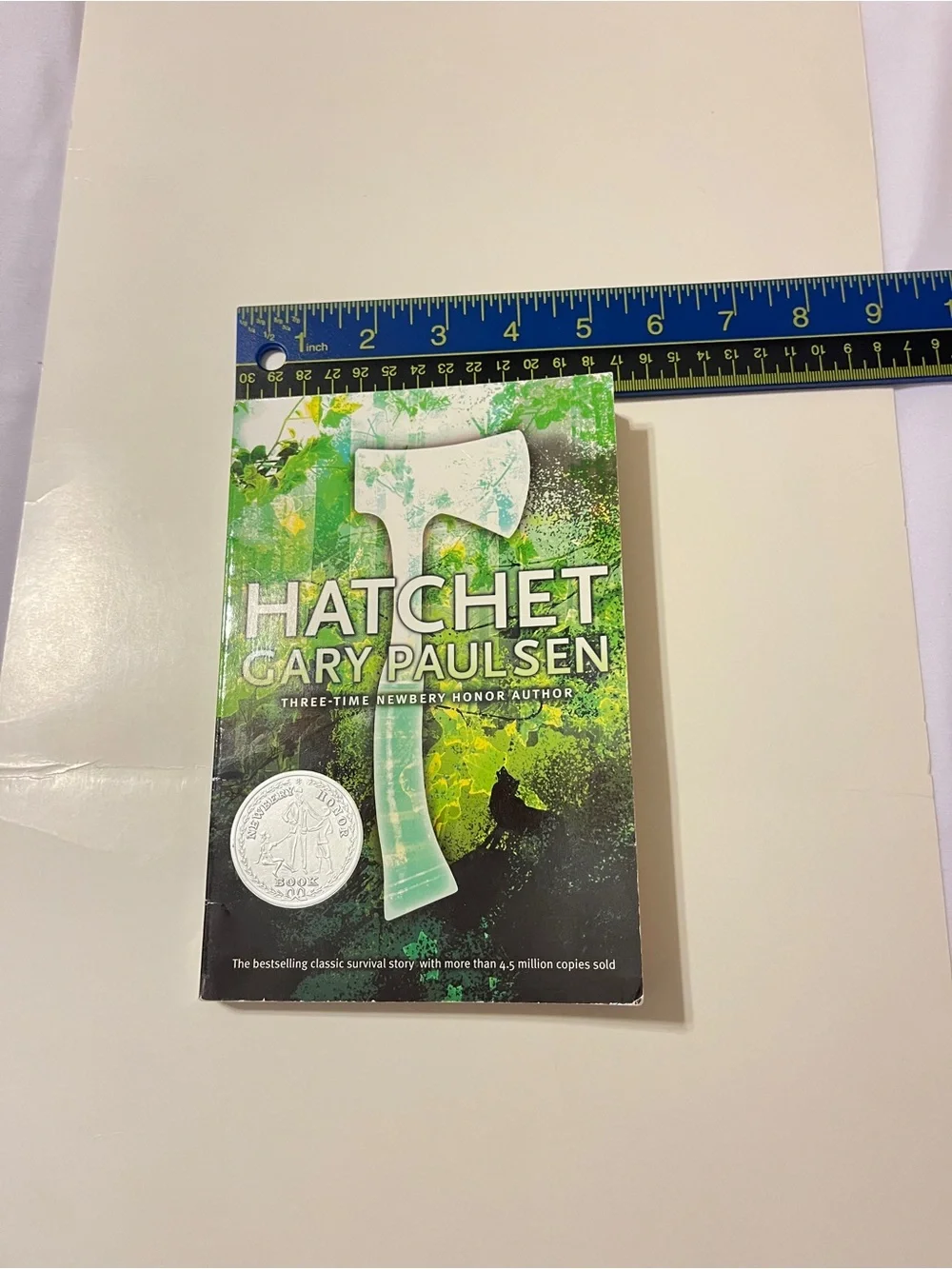 Hatchet Gary Paulsen Paperback Book Aladdin Edition 2006 Survival Novel